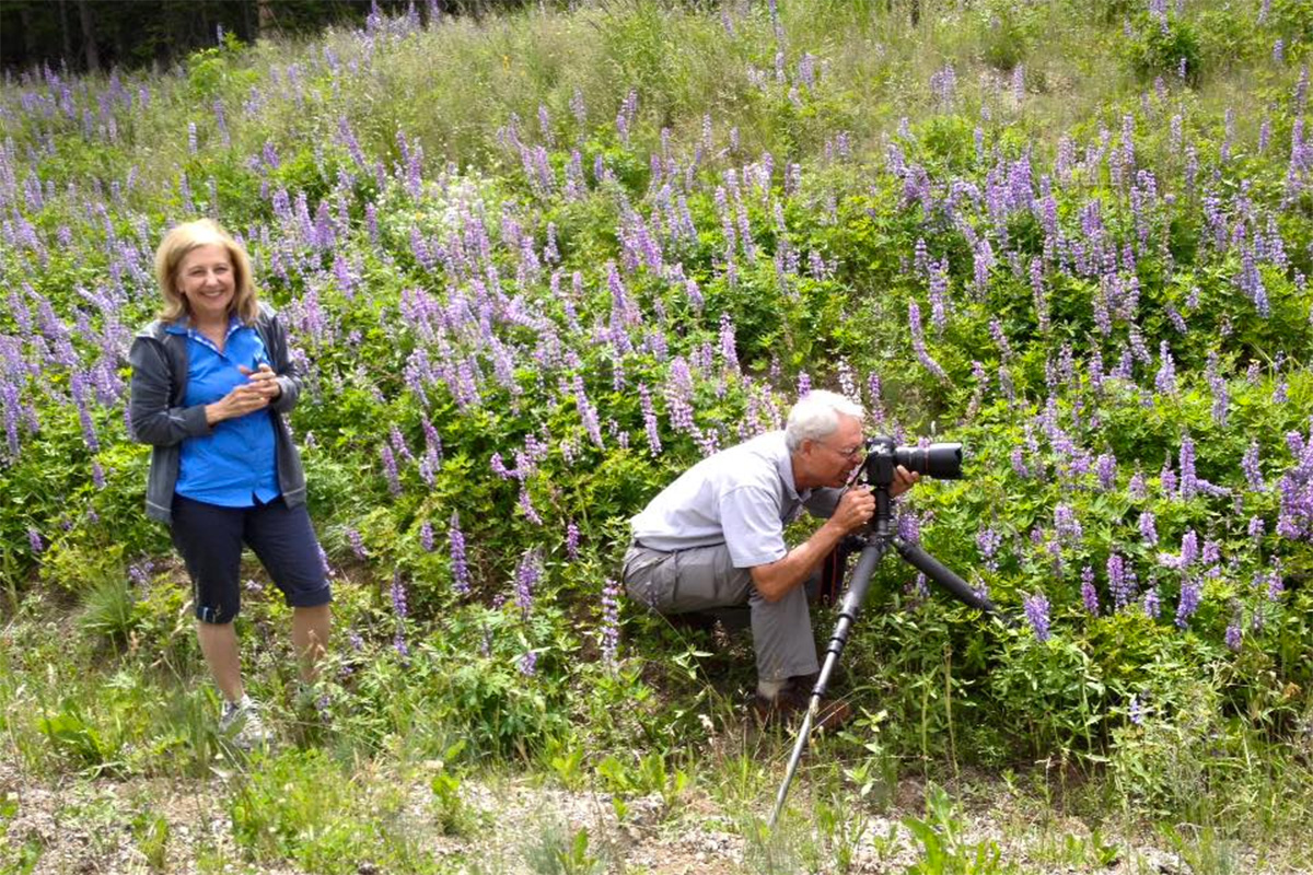 Couple Photographing Wildlife on Guided Grand Teton Day Tour - Buffalo Roam Tours