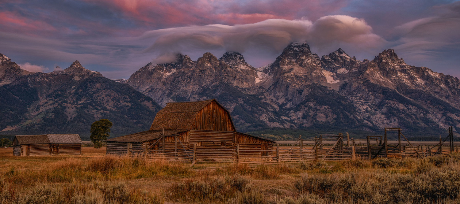 Yellowstone And Grand Teton Tours - Buffalo Roam Tours