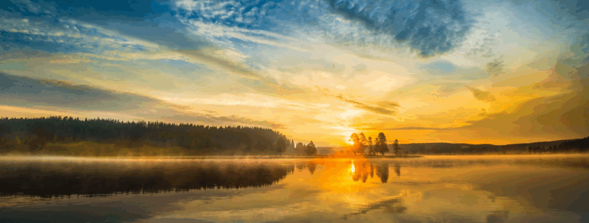 Golden sunrise reflected on a calm lake surrounded by pine trees, showcasing peaceful scenery in Yellowstone National Park.