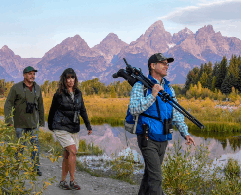 Visitors entering Yellowstone National Park with updated 2026 national park entrance fees signage at the park entrance.